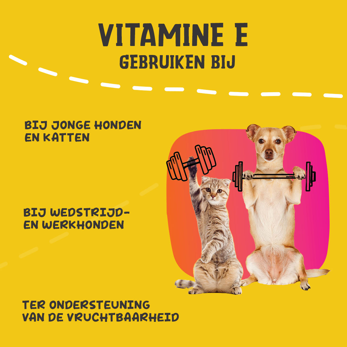 Excellent Pets Vitamin E+ 250 g — afbeelding 6