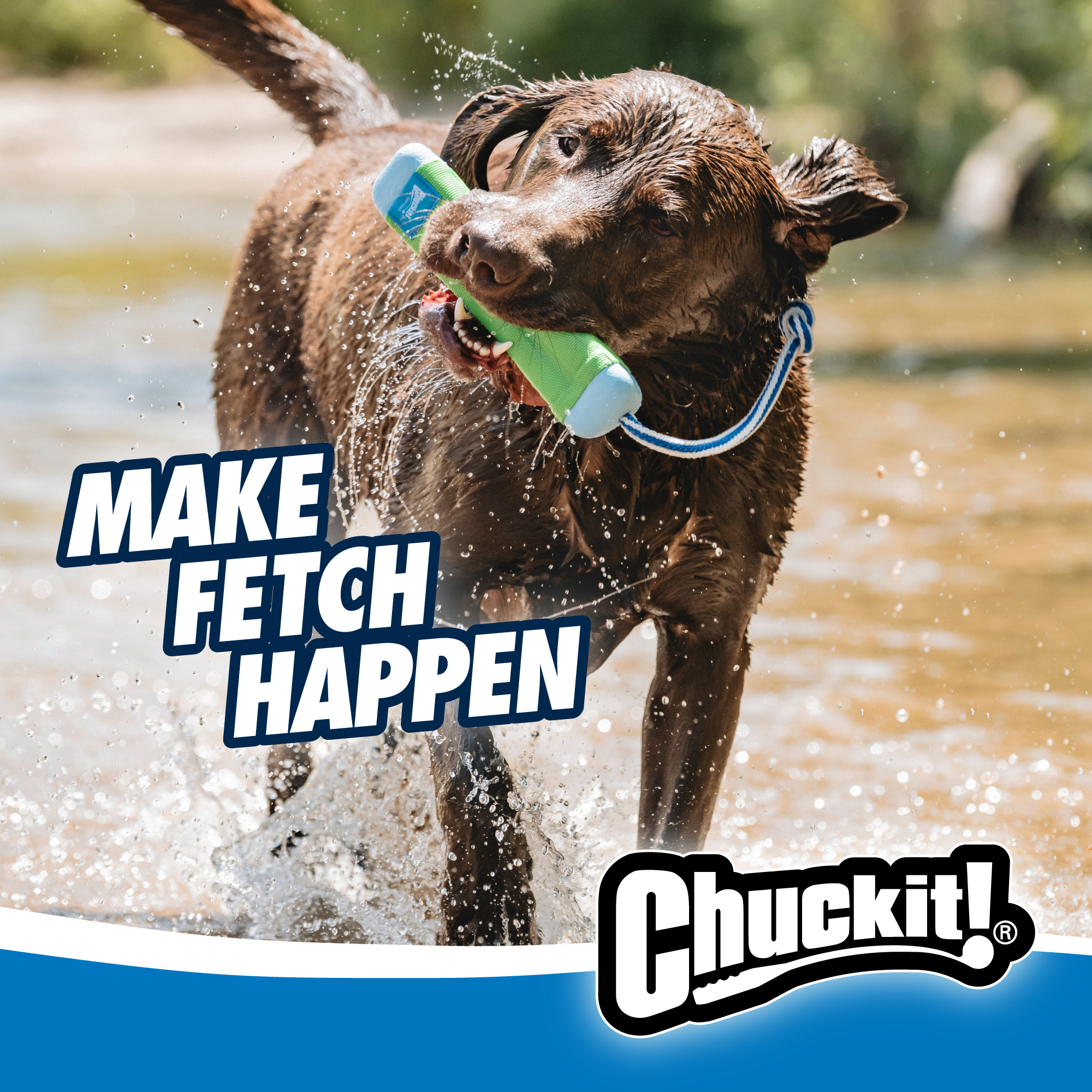 Chuckit! Amphibious Bumper M — afbeelding 4