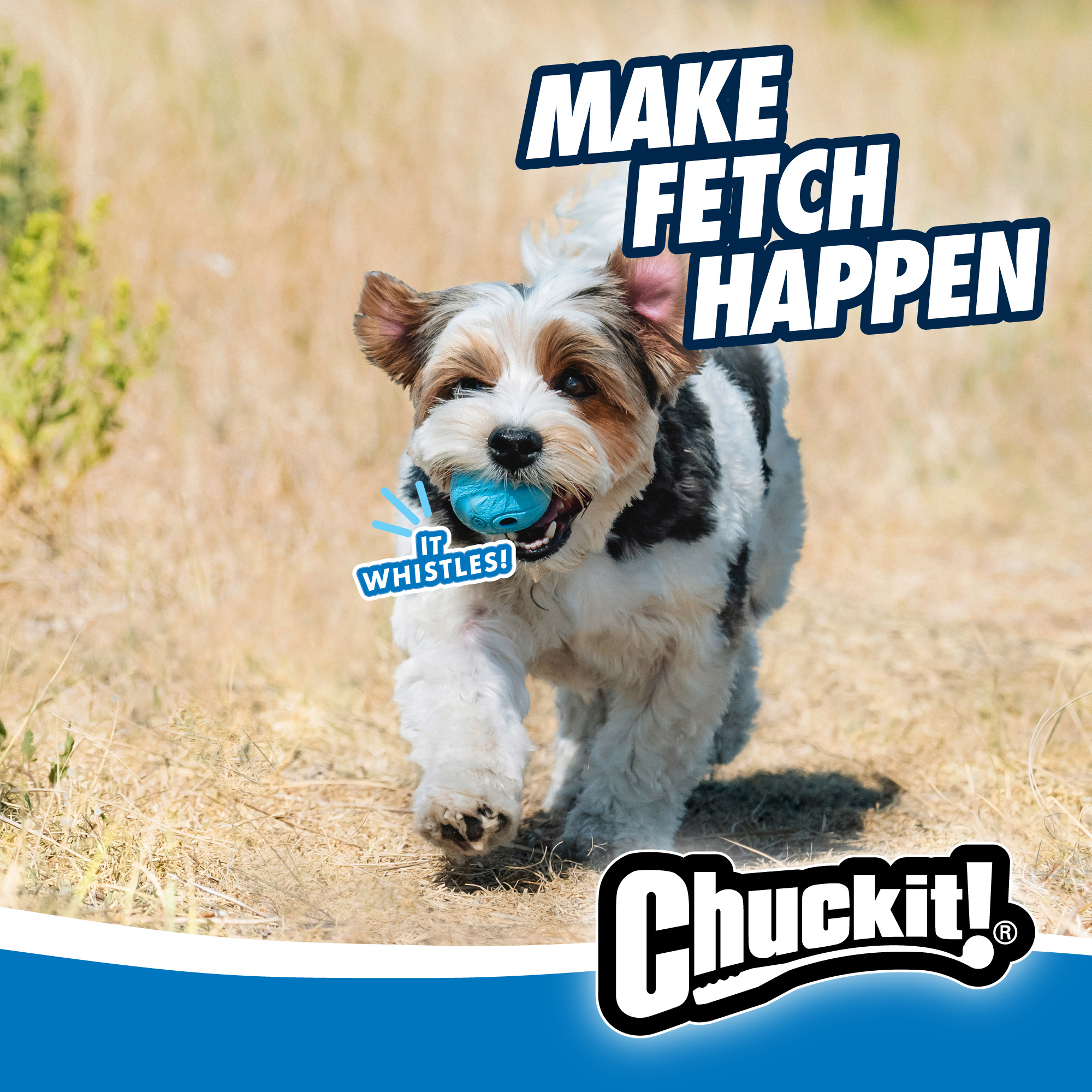 Chuckit! The Whistler M (2-pack) — afbeelding 5