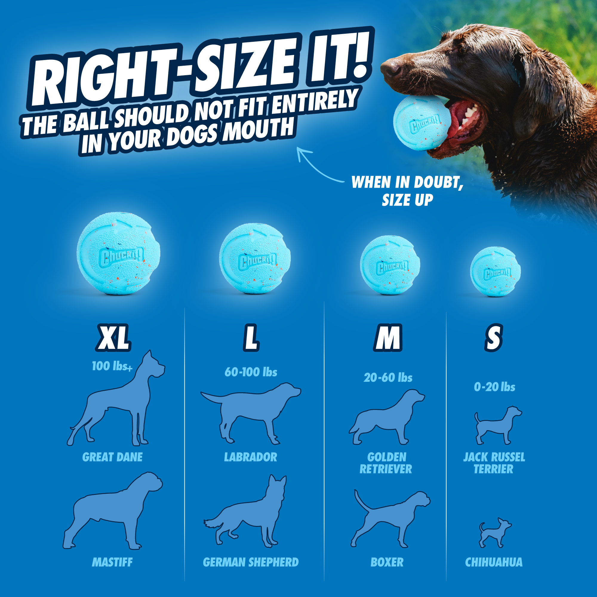 Chuckit! Rebounce Fetch Ball M (2-pack) — afbeelding 6