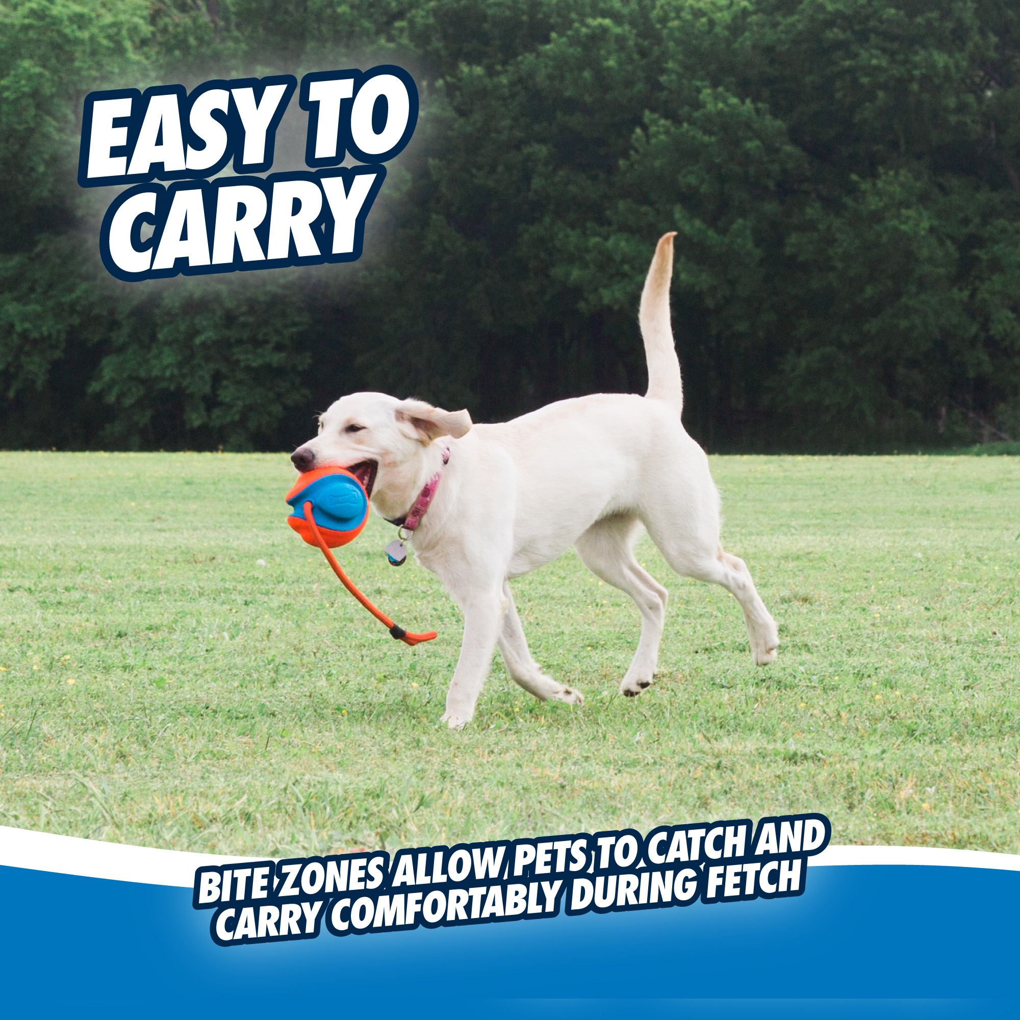 Chuckit! Rope Fetch — afbeelding 5