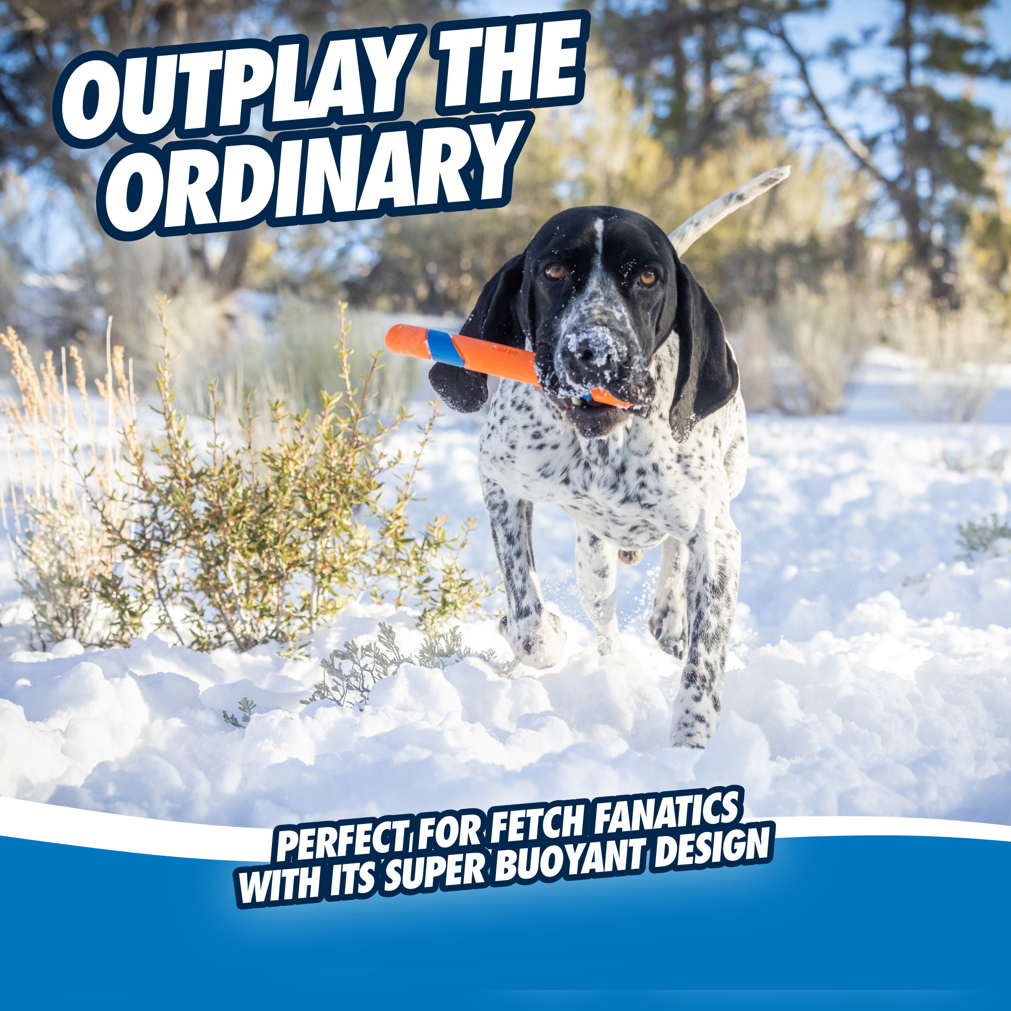 Chuckit! Ultra Fetch Stick — afbeelding 5