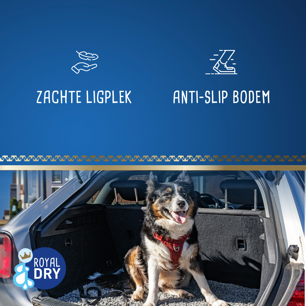 Royal Dry Knoeimat Voor Honden En Katten — afbeelding 6