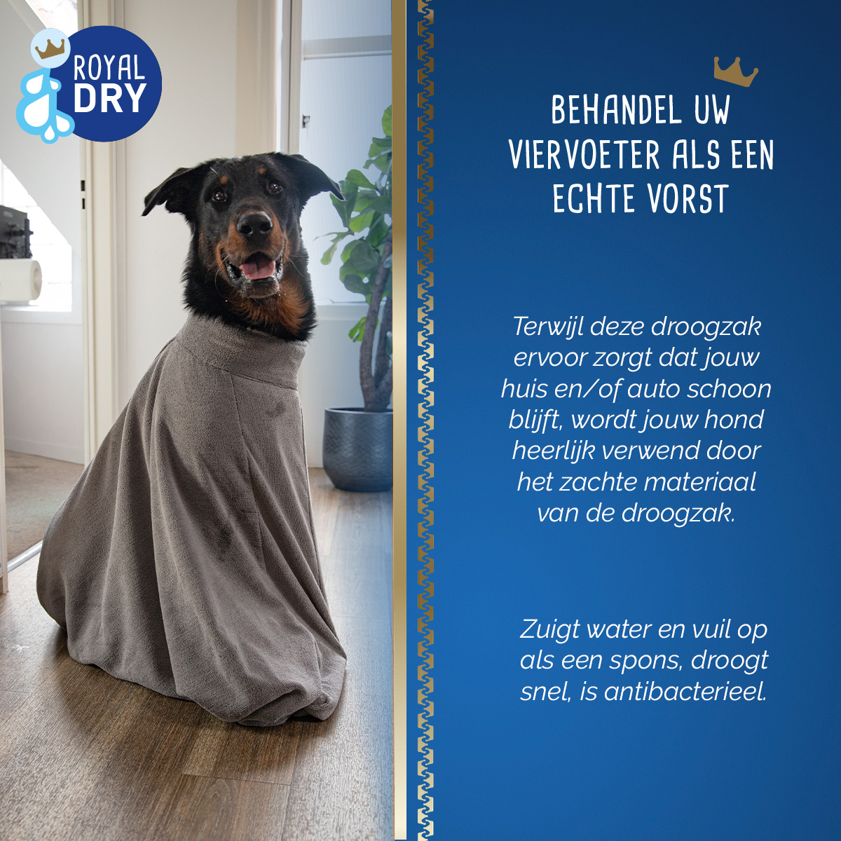 Royal Dry Doggy Bag Droogzak L — afbeelding 6