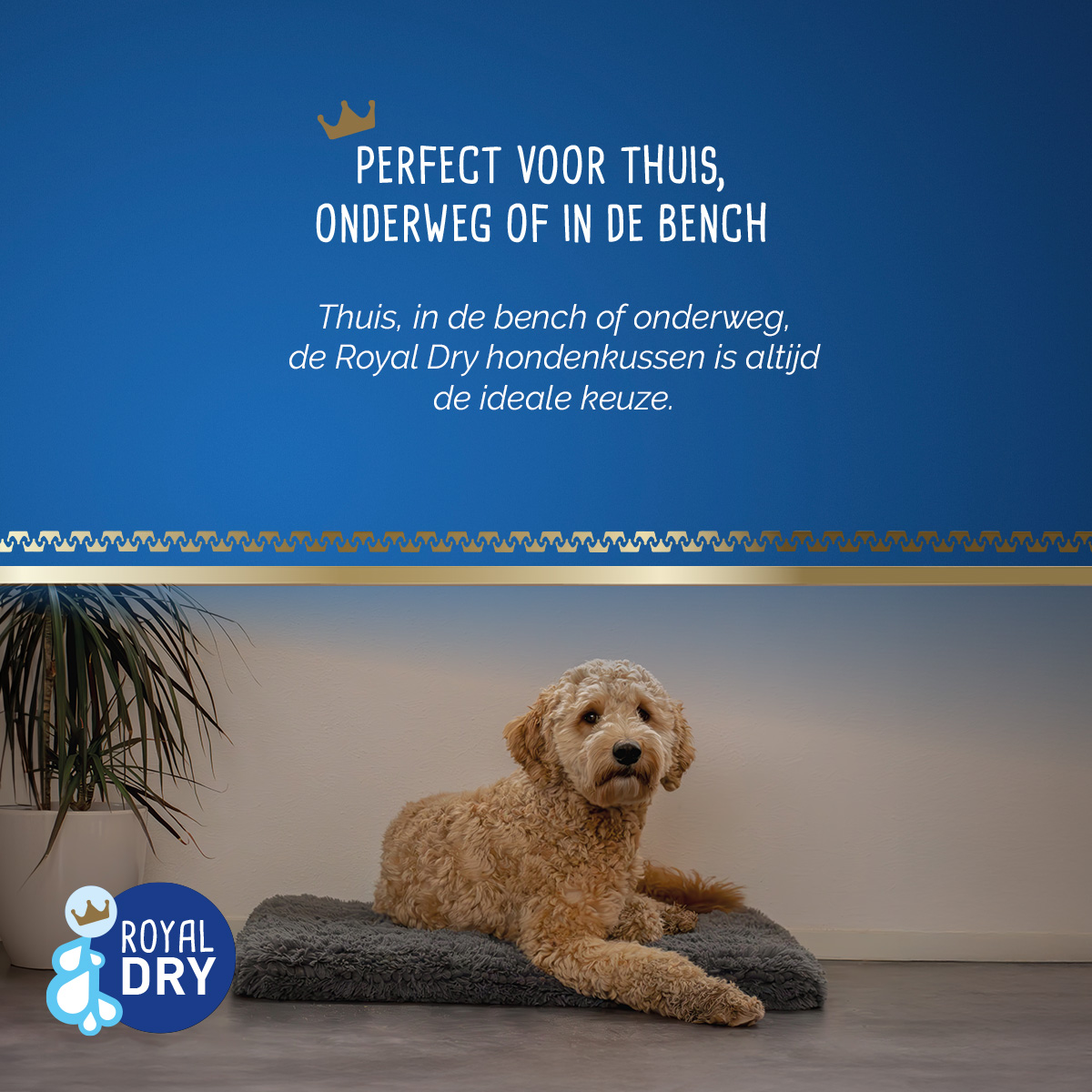 Royal Dry Kussen Voor Honden L (58 x 91 cm) — afbeelding 6