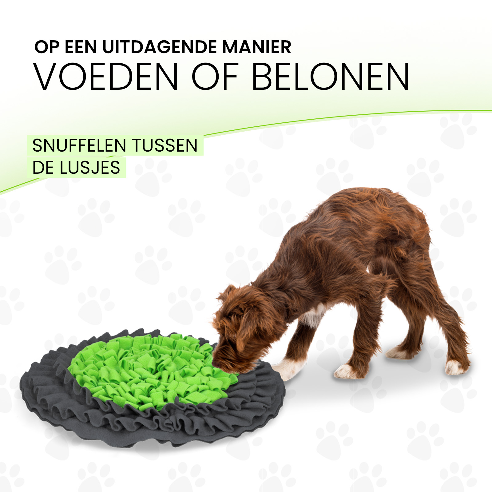 Eat Slow Live Longer Snuffle Mat — afbeelding 4