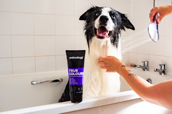 Animology True Colours Dog Shampoo — afbeelding 5