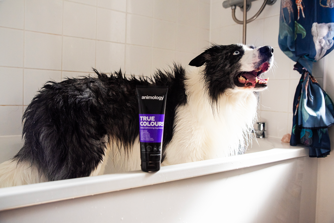Animology True Colours Dog Shampoo — afbeelding 4
