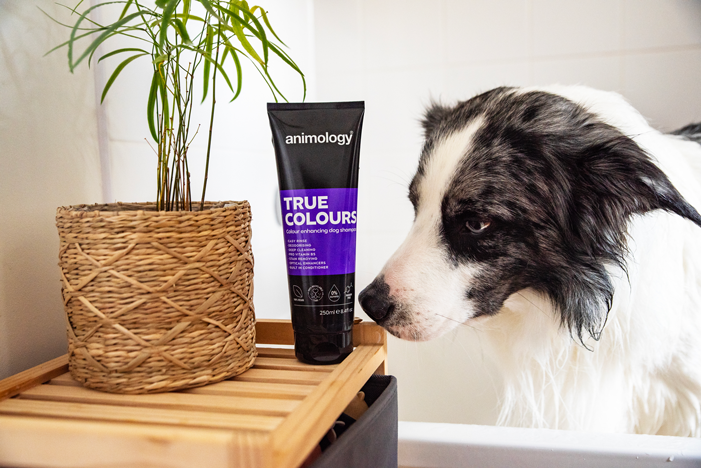 Animology True Colours Dog Shampoo — afbeelding 3