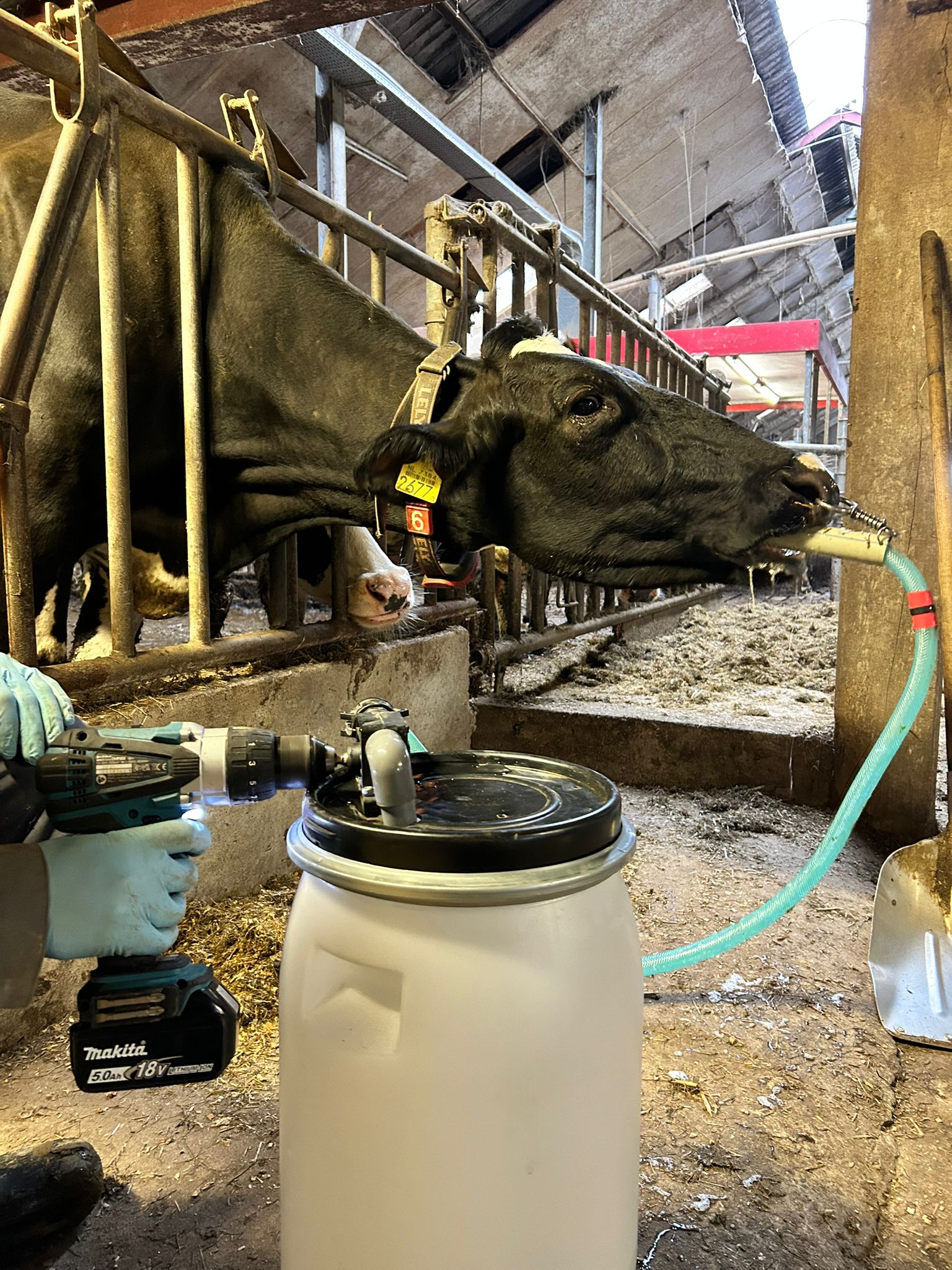 Excellent Cow Drencher Drill Driven — afbeelding 2