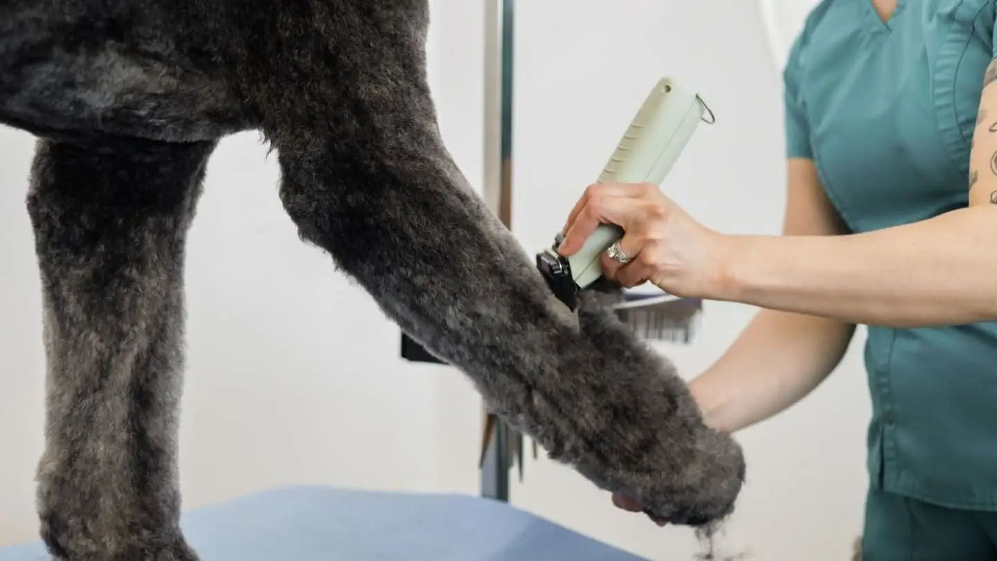 Wahl KMC+ Snoer/Snoerloze Trimmer — afbeelding 3