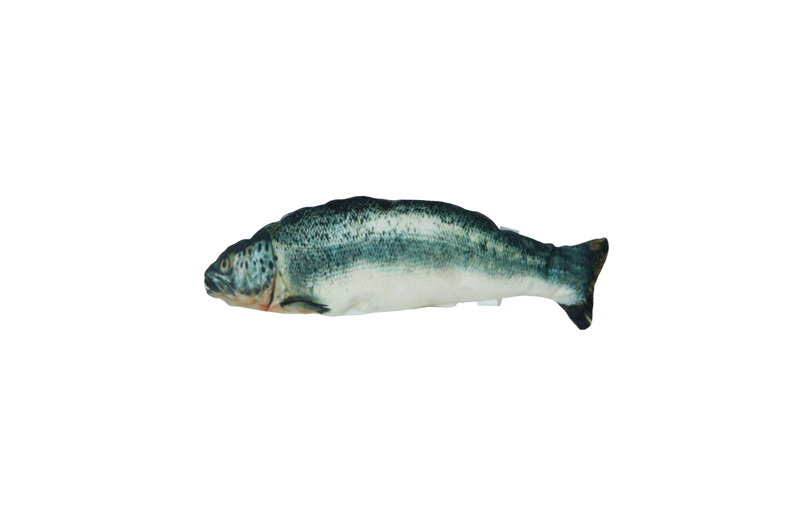 Robocat Zalm — afbeelding 2