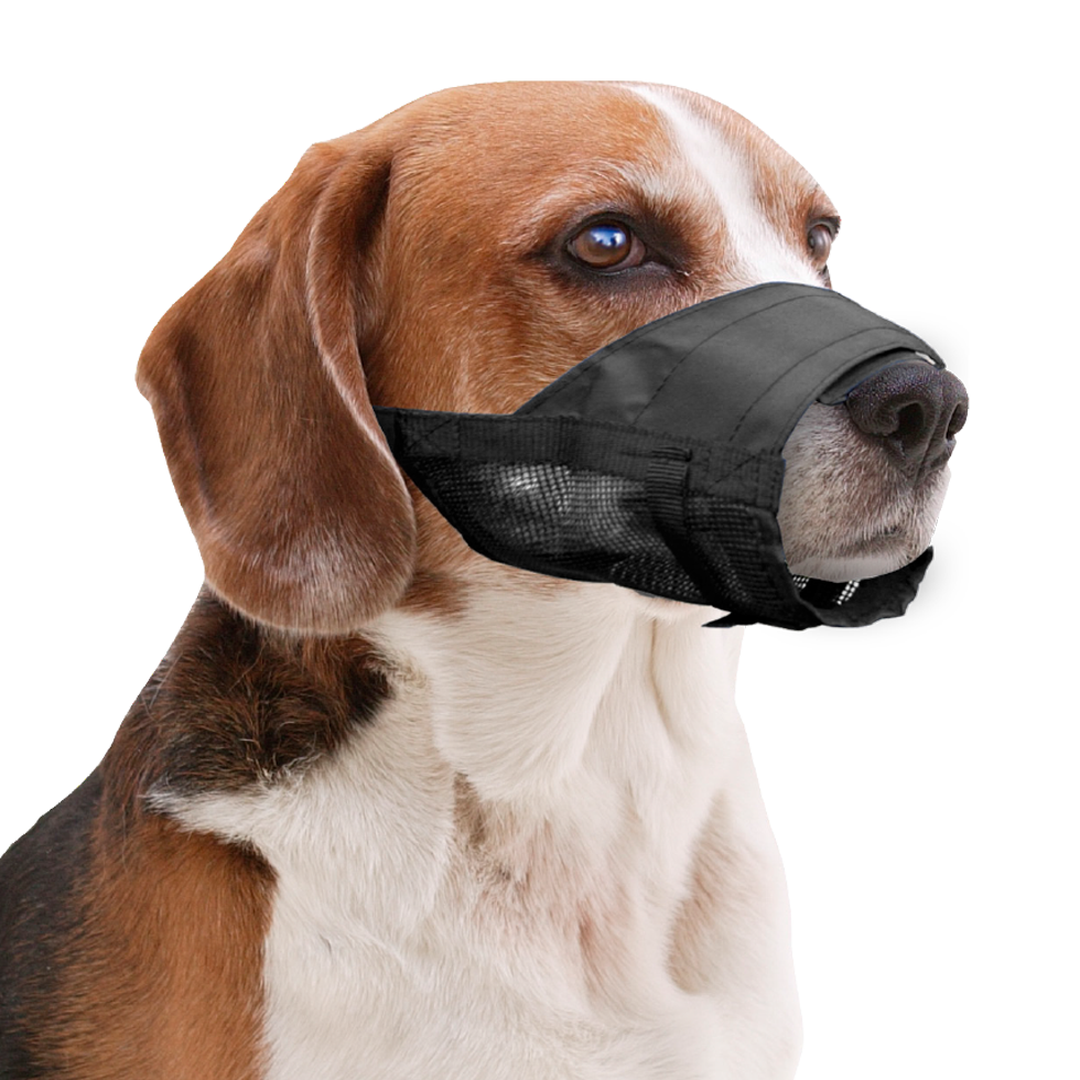 Pawise Adjustable Nylon Muzzle XL — afbeelding 2