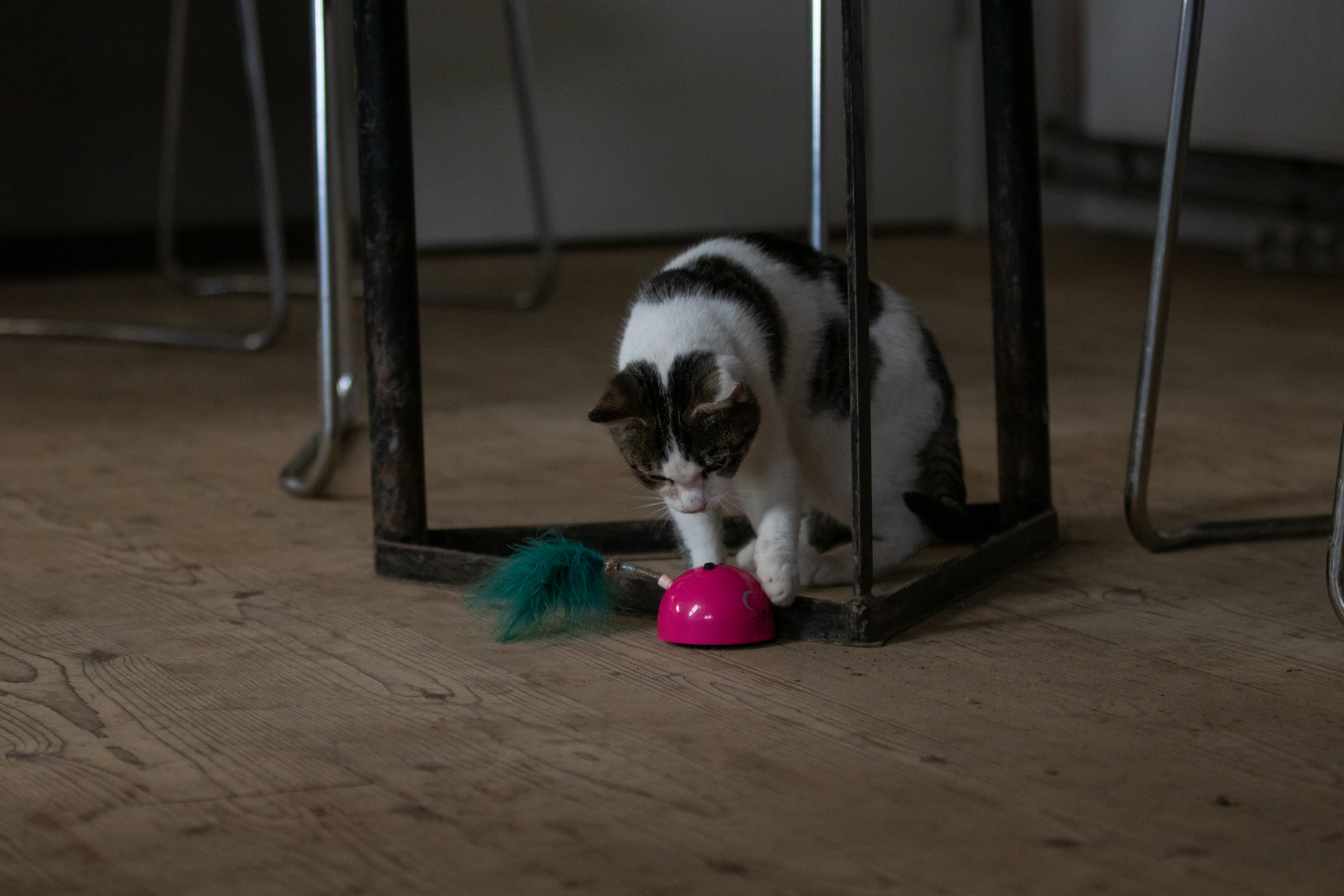 Robocat Muis Roze — afbeelding 6
