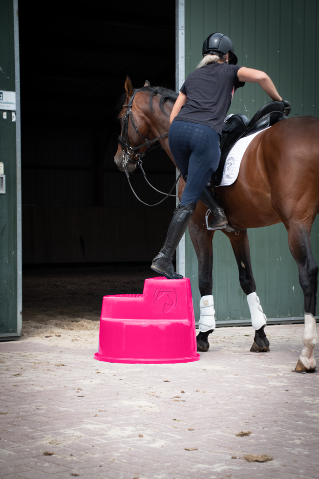 Excellent Horse Opstaphulp 3 Treden Roze — afbeelding 3