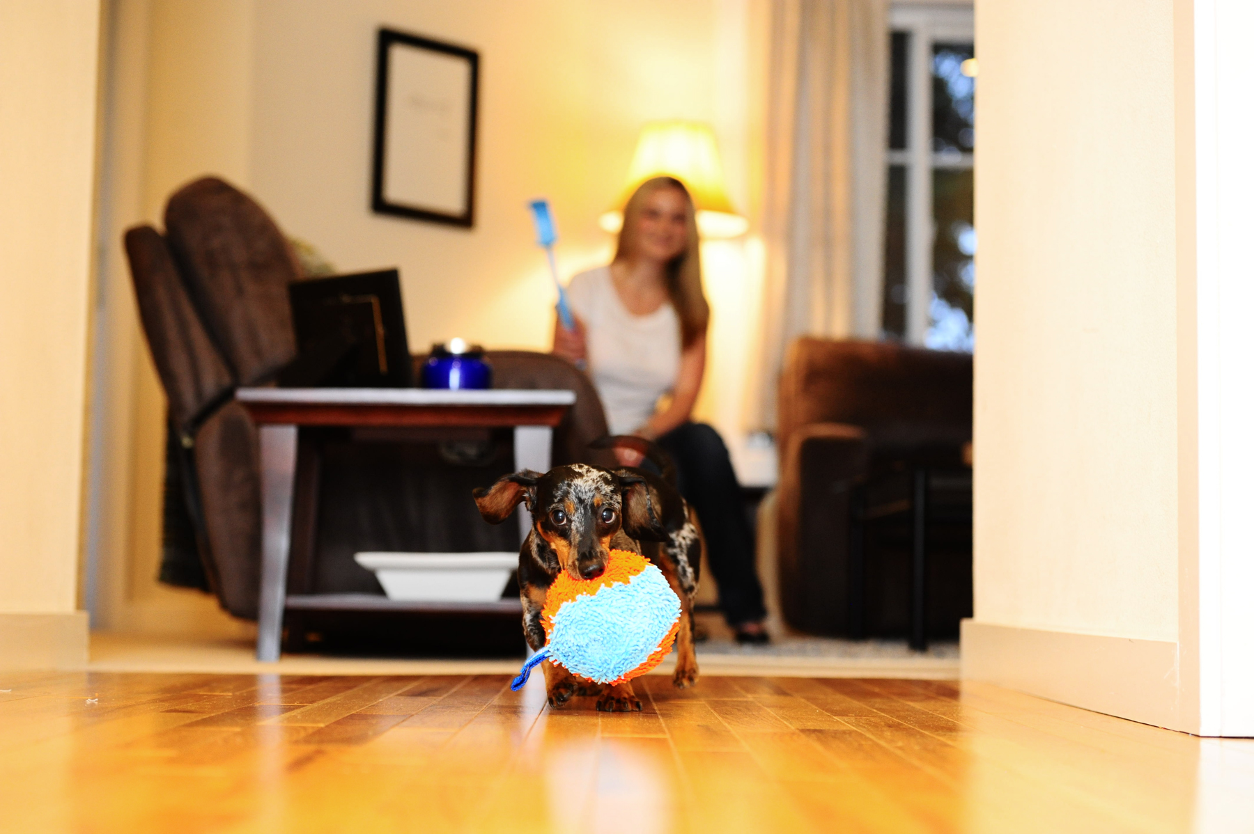Chuckit! Indoor Shaker — afbeelding 5