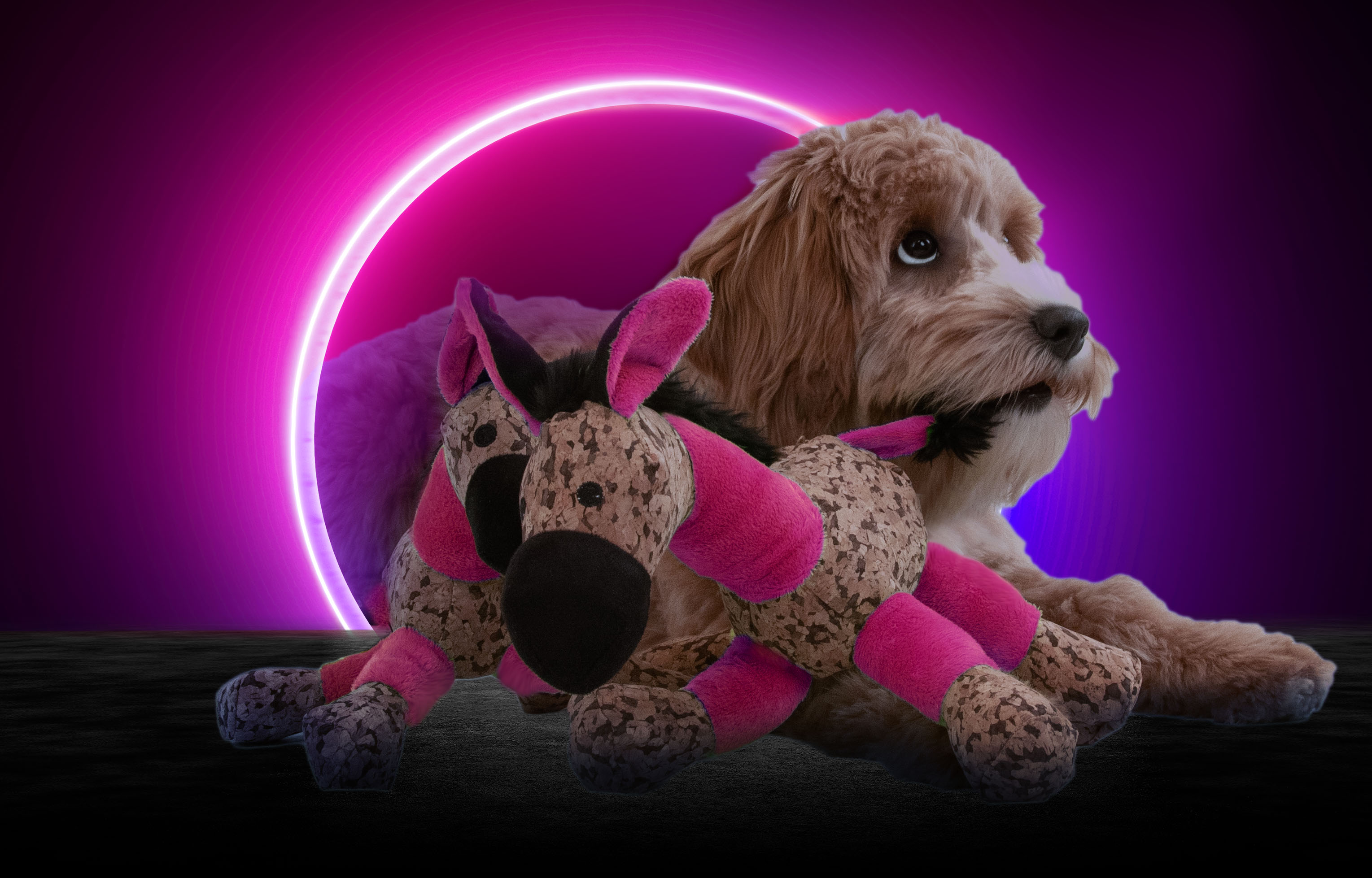 Retrodog Donkey Roze S — afbeelding 4