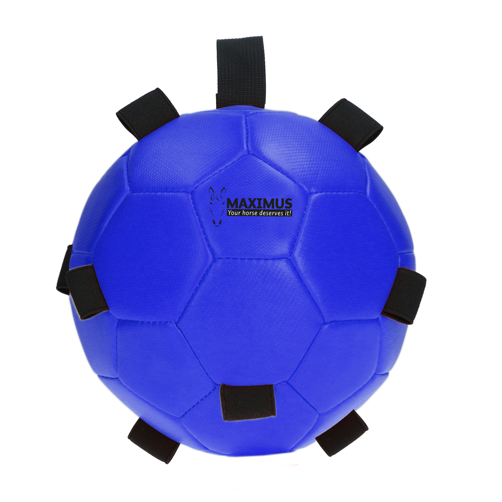 Excellent Horse Fun Play Ball Blauw — afbeelding 2