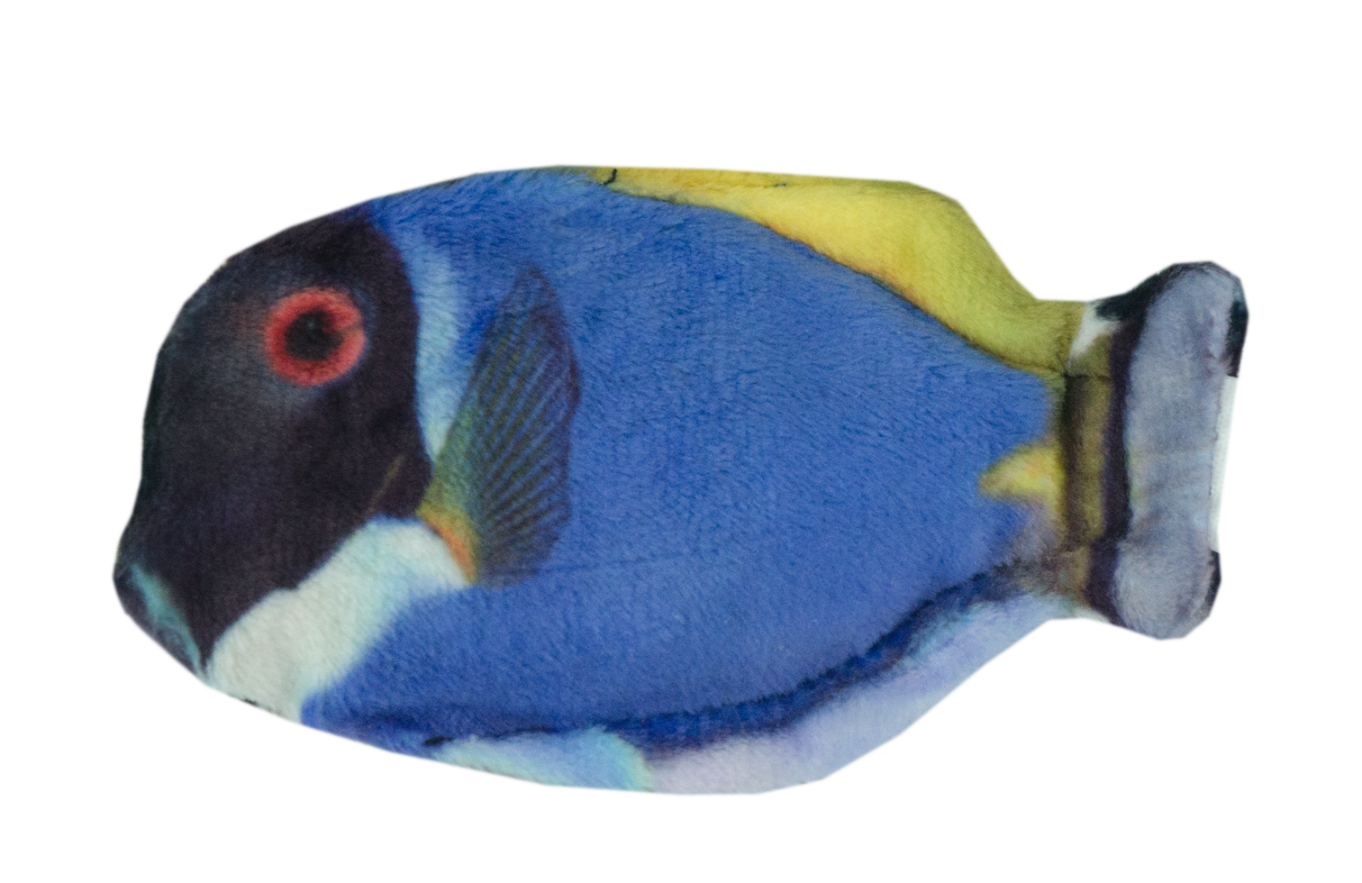 Wild Life Cat Blauwe Doktersvis — afbeelding 2