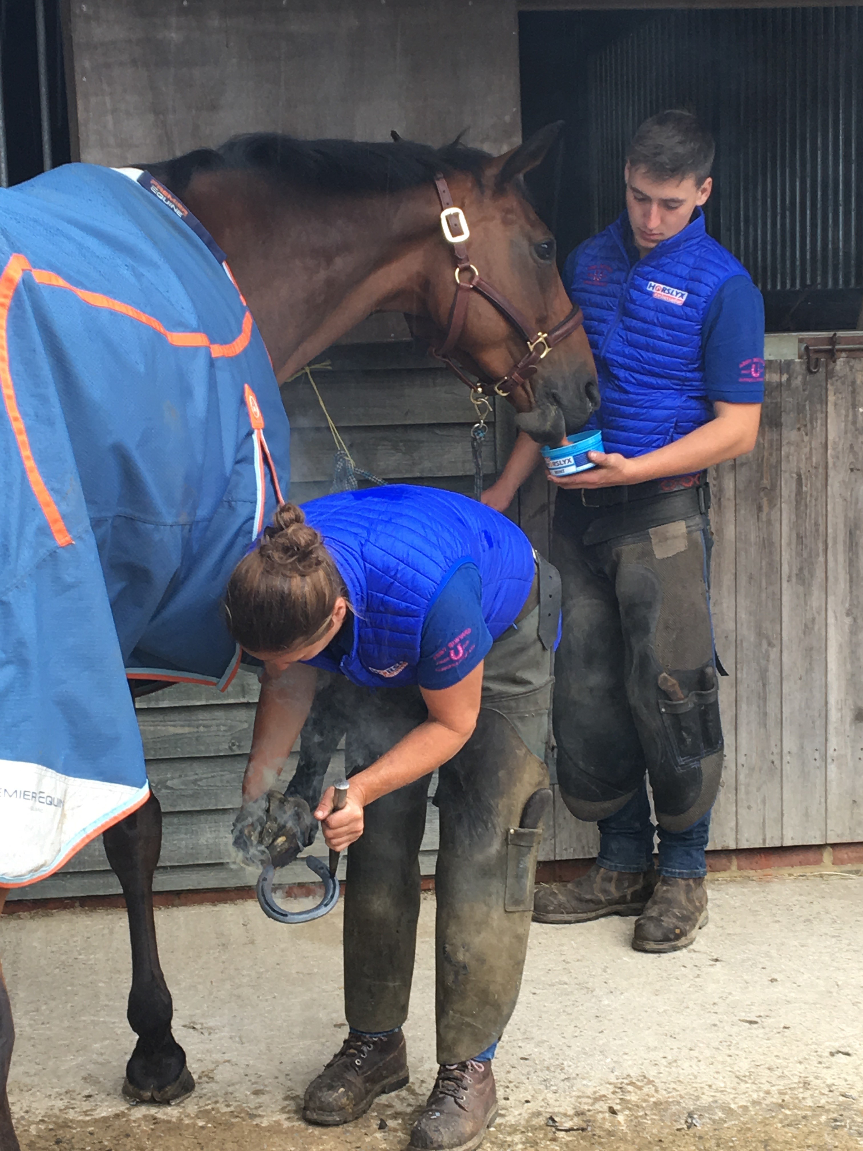 Horslyx Mini Knoflook — afbeelding 3