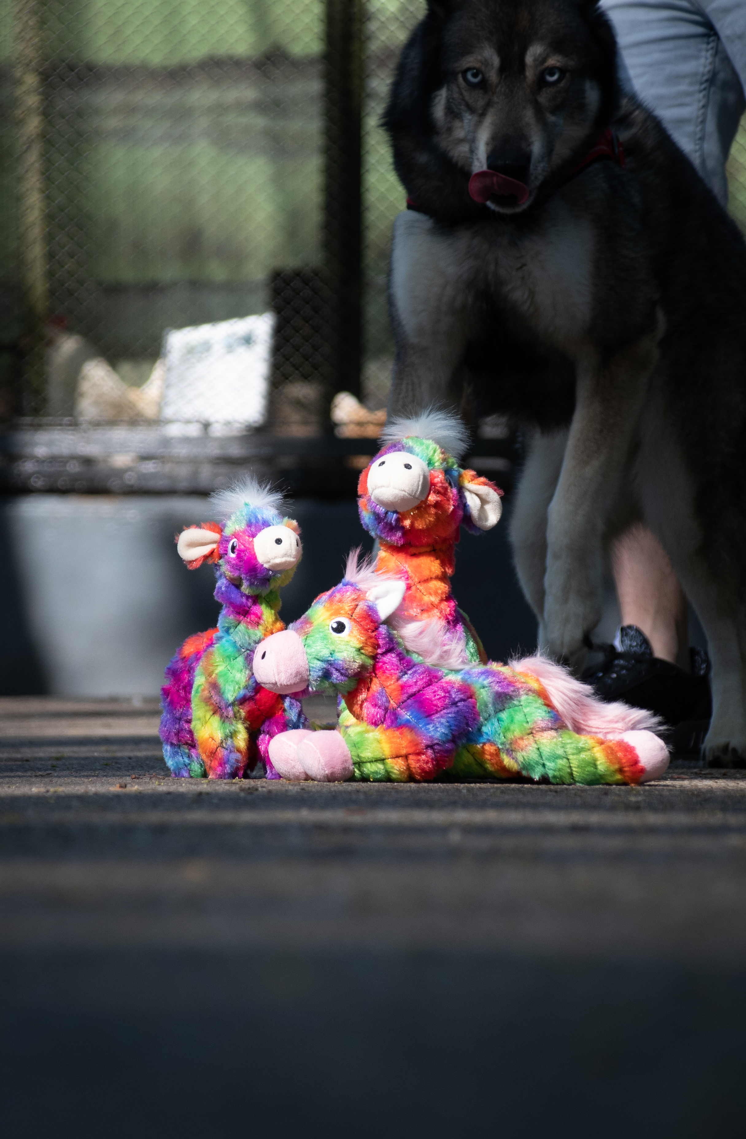 FantaZoo Bunny - M — afbeelding 3