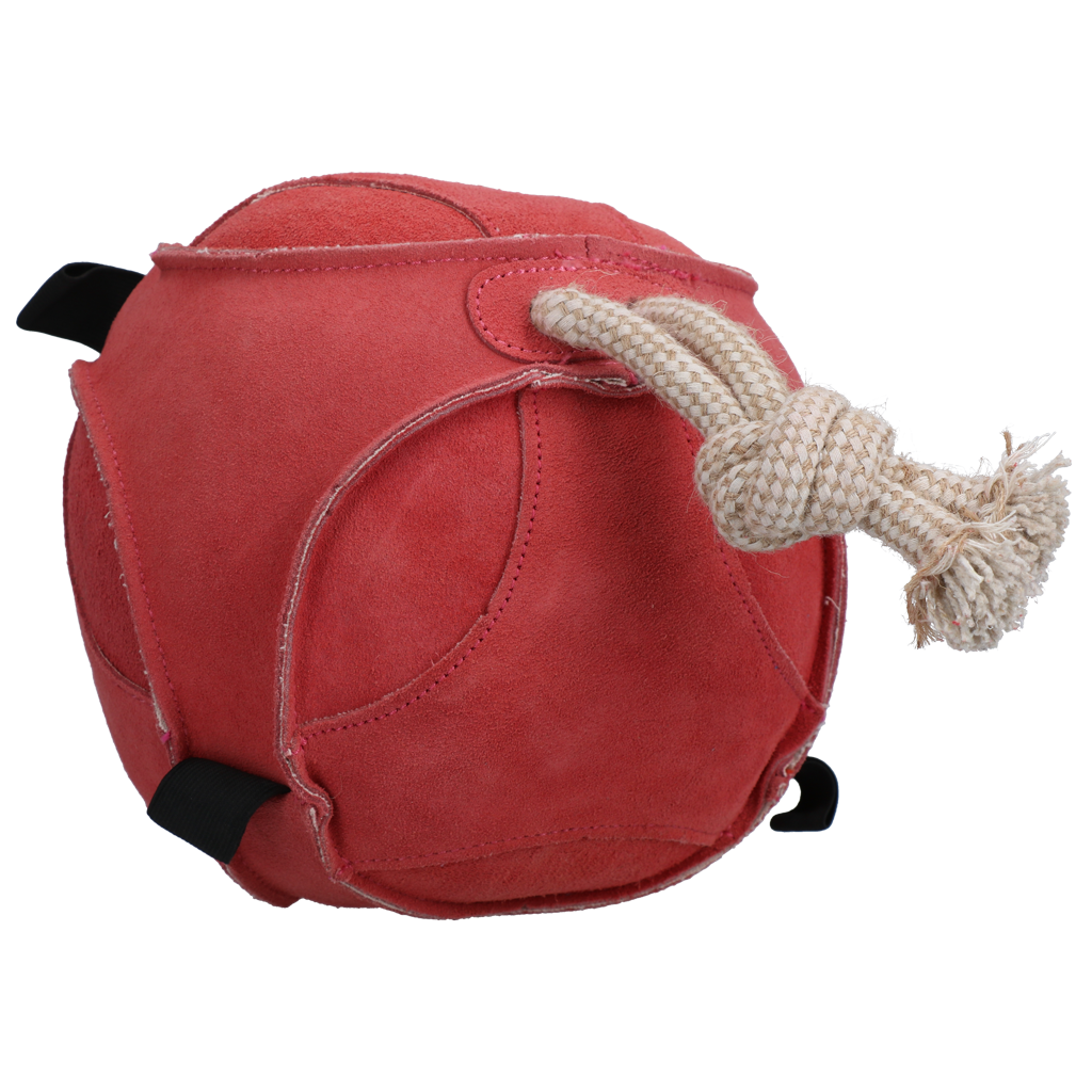 Excellent Horse Fun Play Ball Suede Roze — afbeelding 2