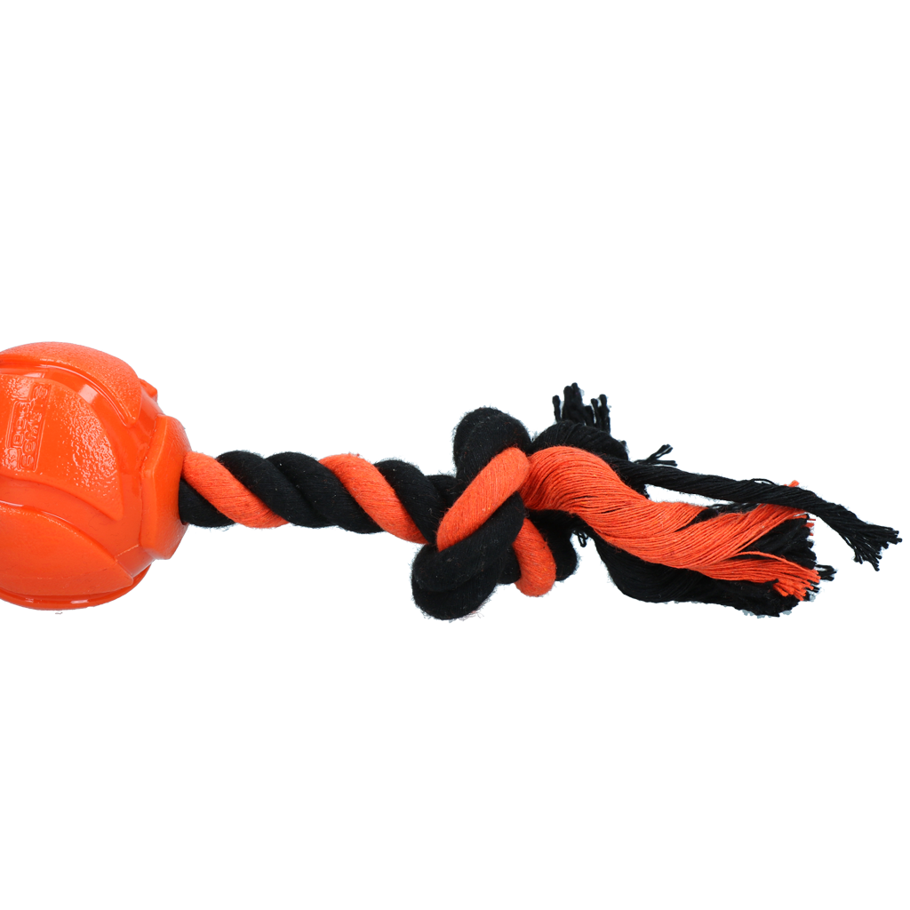 Dog Comets AstroTug Oranje — afbeelding 3