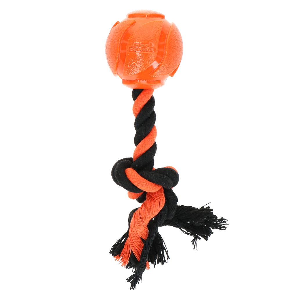Dog Comets AstroTug Oranje — afbeelding 2