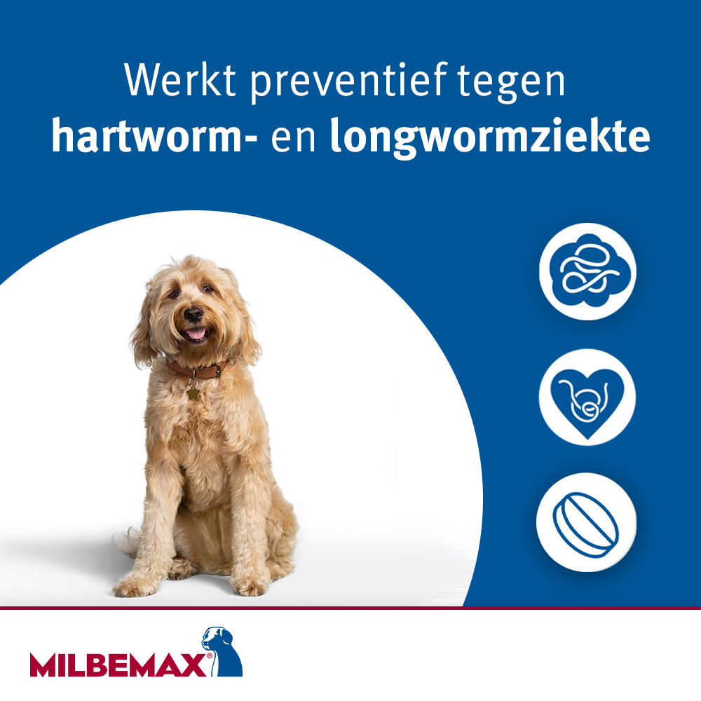 Milbemax Tabletten Puppy/Kleine hond <5kg 2 tabl. — afbeelding 5