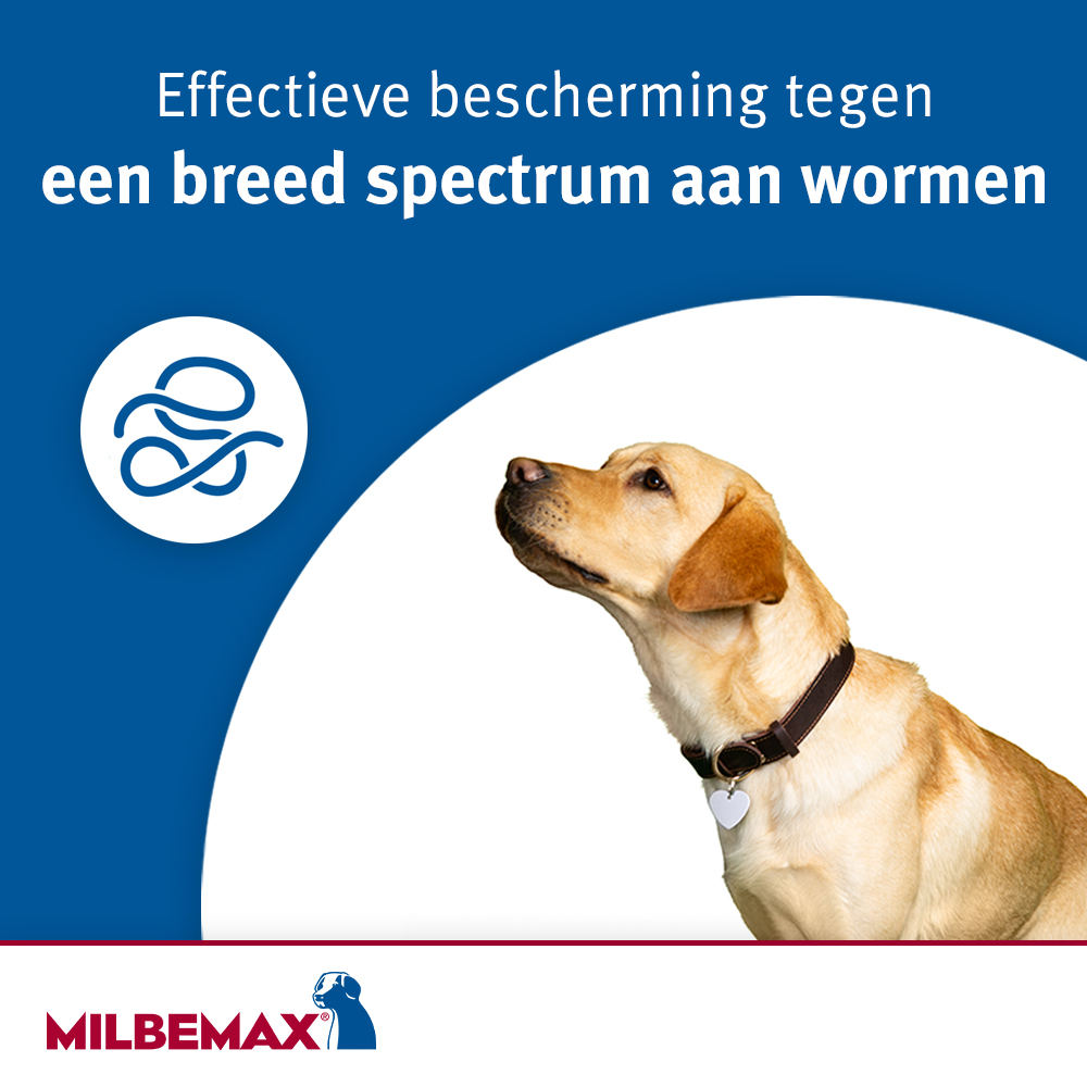 Milbemax Tabletten Puppy/Kleine hond <5kg 4 tabl. — afbeelding 4