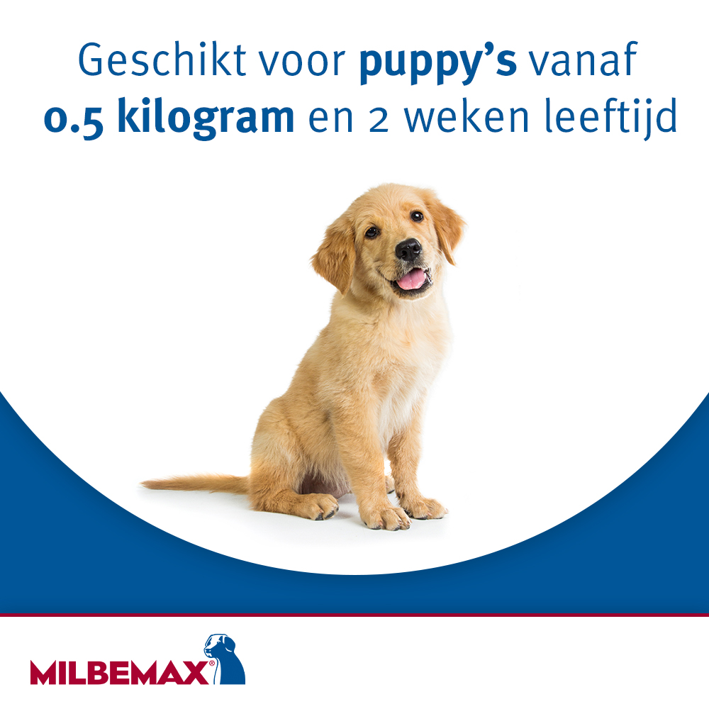 Milbemax Tabletten Hond Groot 5-75kg 4 tabl. — afbeelding 3