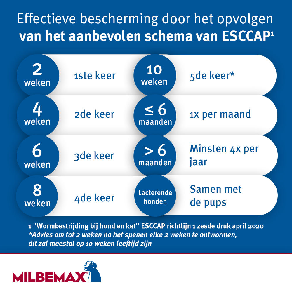 Milbemax Tabletten Hond Groot 5-75kg 4 tabl. — afbeelding 6