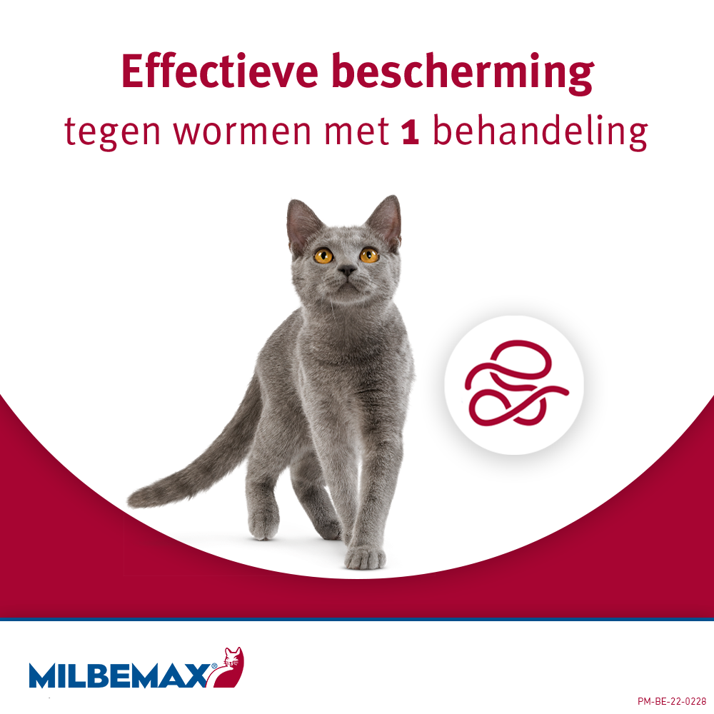 Milbemax Tabletten Kitten/Kat Klein R 0,5-2kg 2 tabl. — afbeelding 2