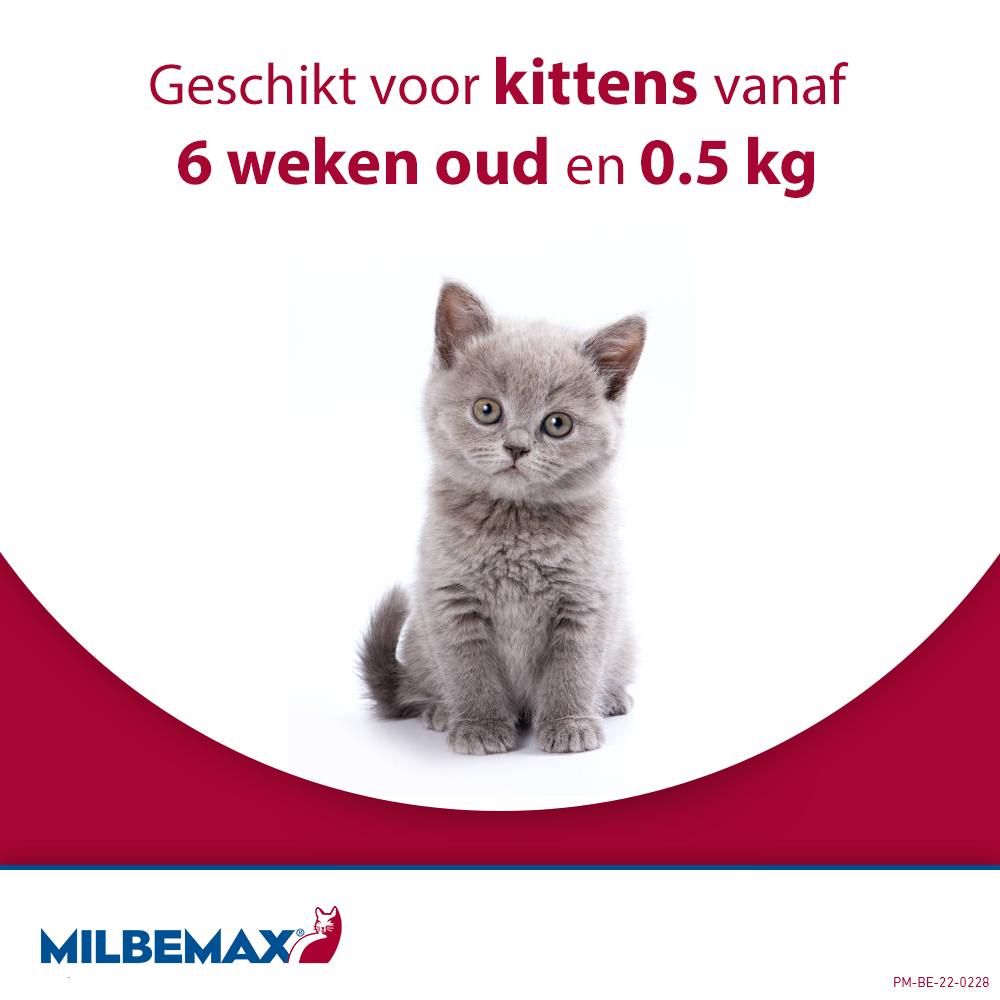 Milbemax Tabletten Kitten/Kat Klein R 0,5-2kg 2 tabl. — afbeelding 4