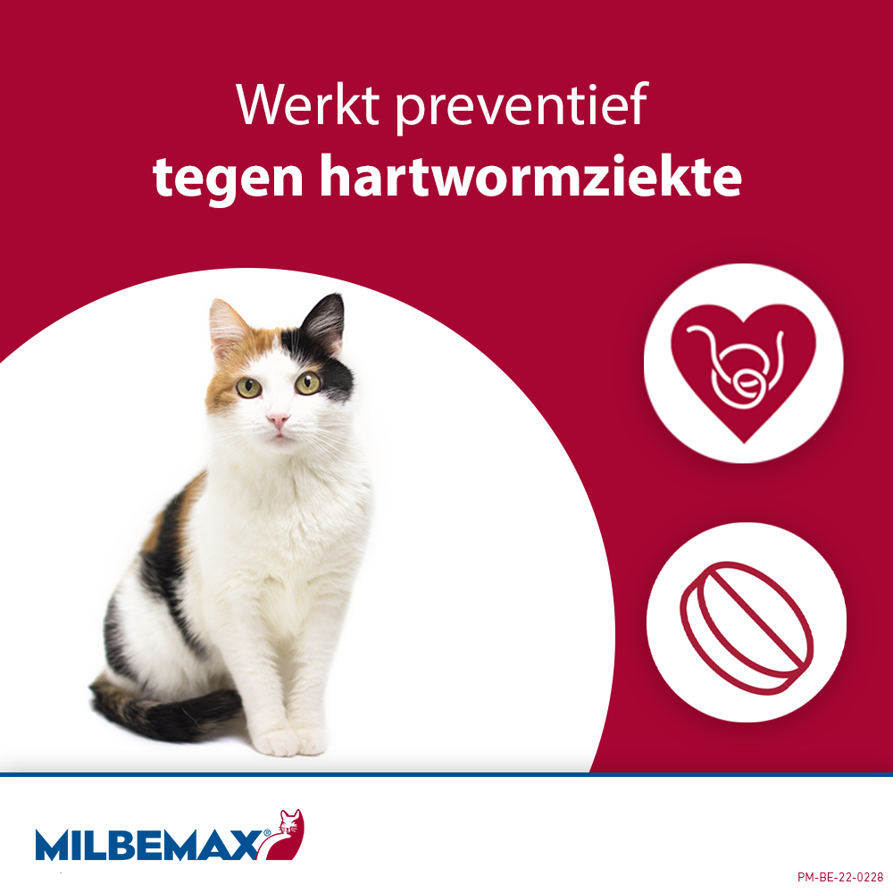 Milbemax Tabletten Kitten/Kat Klein R 0,5-2kg 2 tabl. — afbeelding 6
