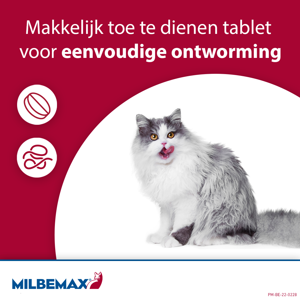 Milbemax Tabletten Kitten/Kat Klein R 0,5-2kg 2 tabl. — afbeelding 3