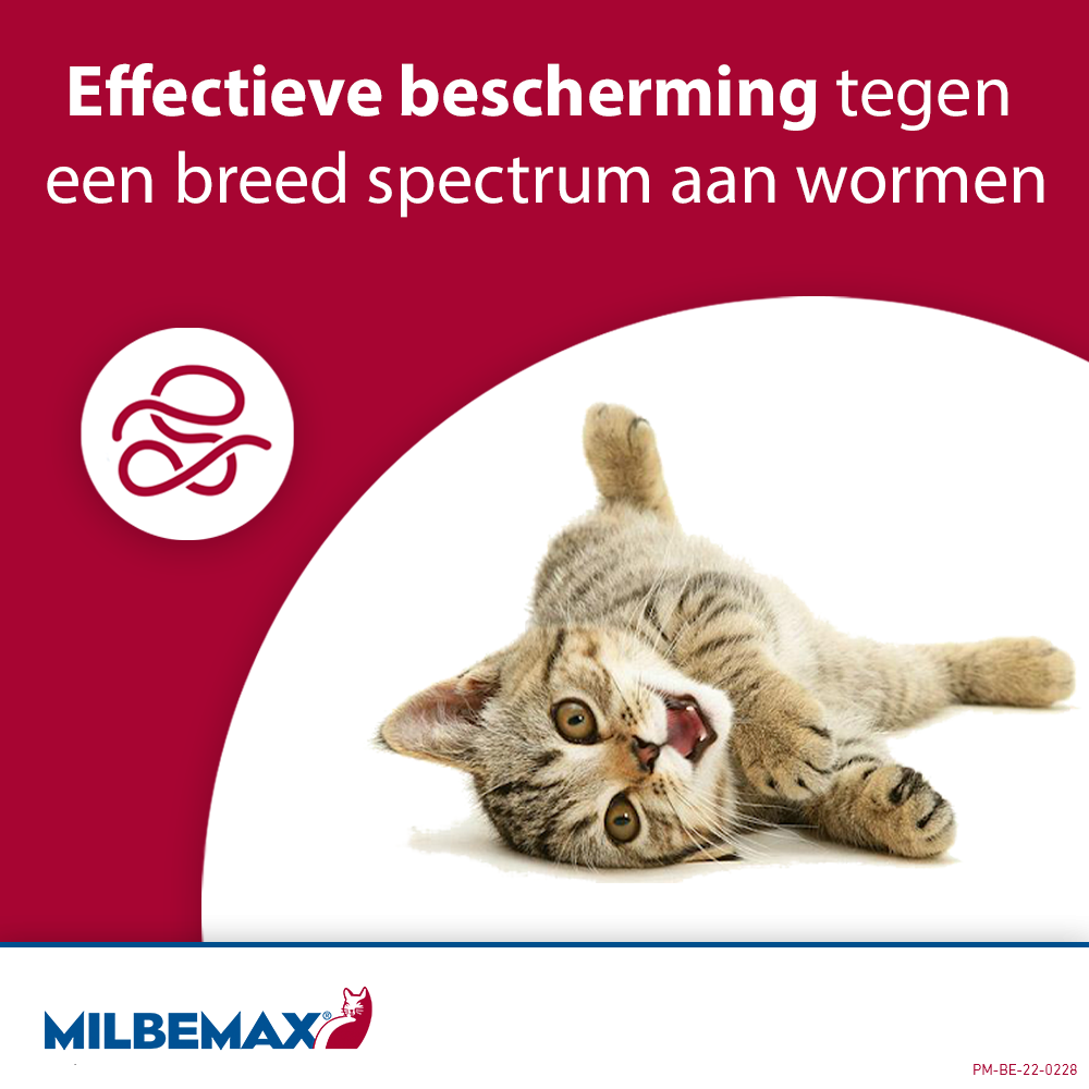 Milbemax Tabletten Kitten/Kat Klein R 0,5-2kg 2 tabl. — afbeelding 5