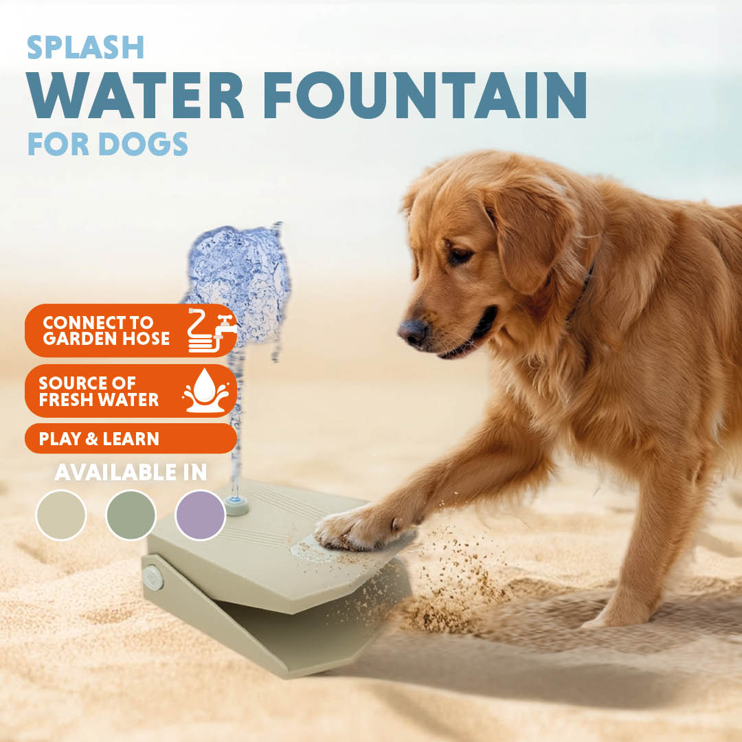 Coolpets Splash Water Fountain Lila — afbeelding 5