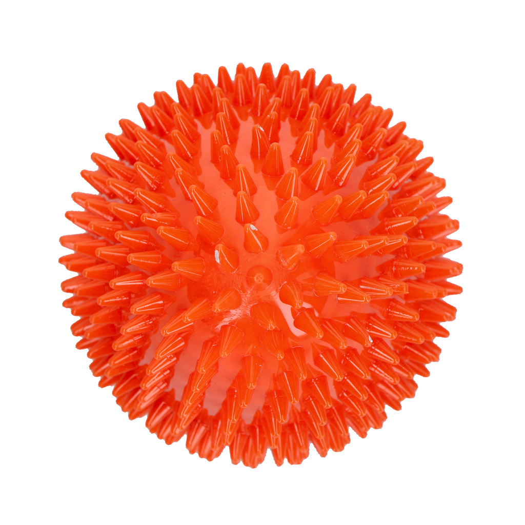 Dog Comets Cosmic Egg Oranje L — afbeelding 3