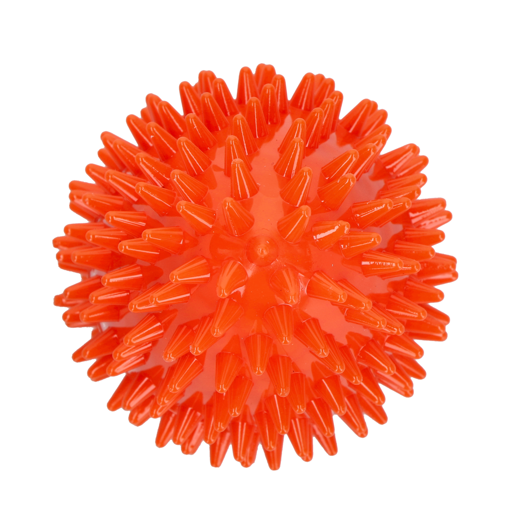 Dog Comets Cosmic Egg Oranje M — afbeelding 3