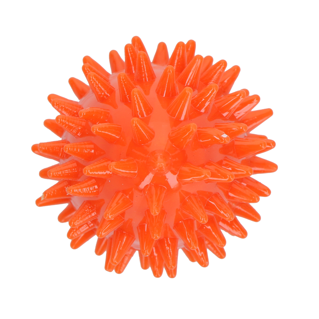 Dog Comets Cosmic Egg Oranje S — afbeelding 3
