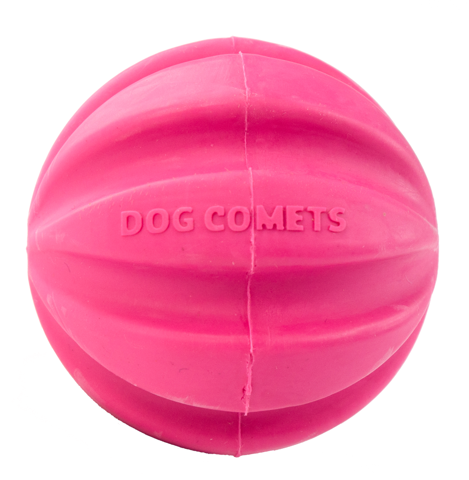 Dog Comets Halley Roze — afbeelding 3