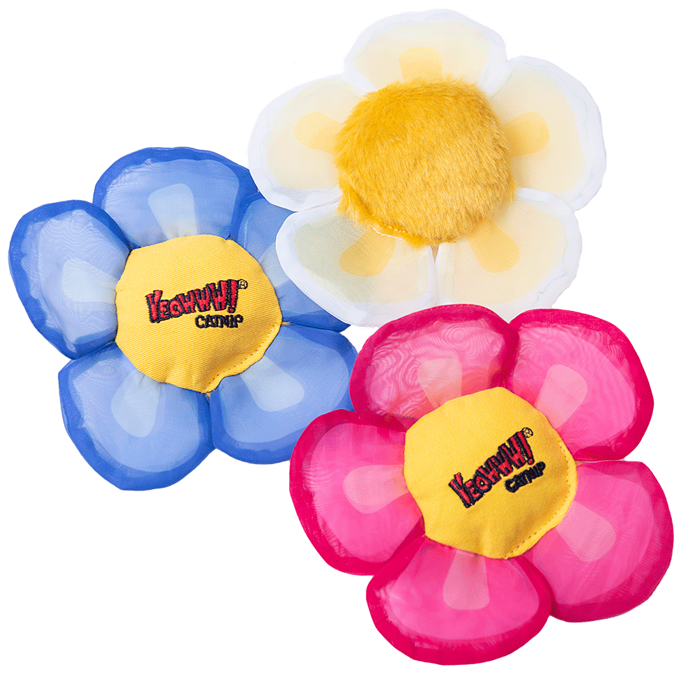 Yeowww! Display Strip Daisy's Flower Top 12 st. — afbeelding 2