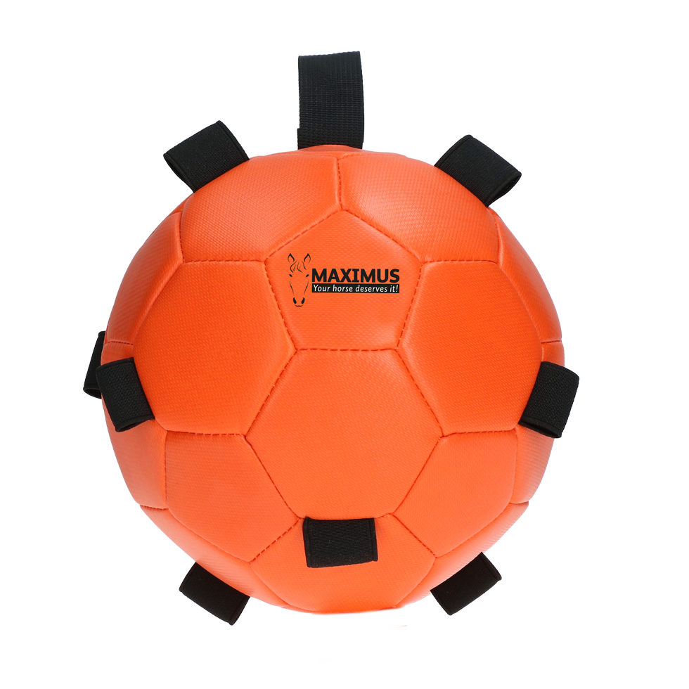 Excellent Horse Fun Play Ball Oranje — afbeelding 2