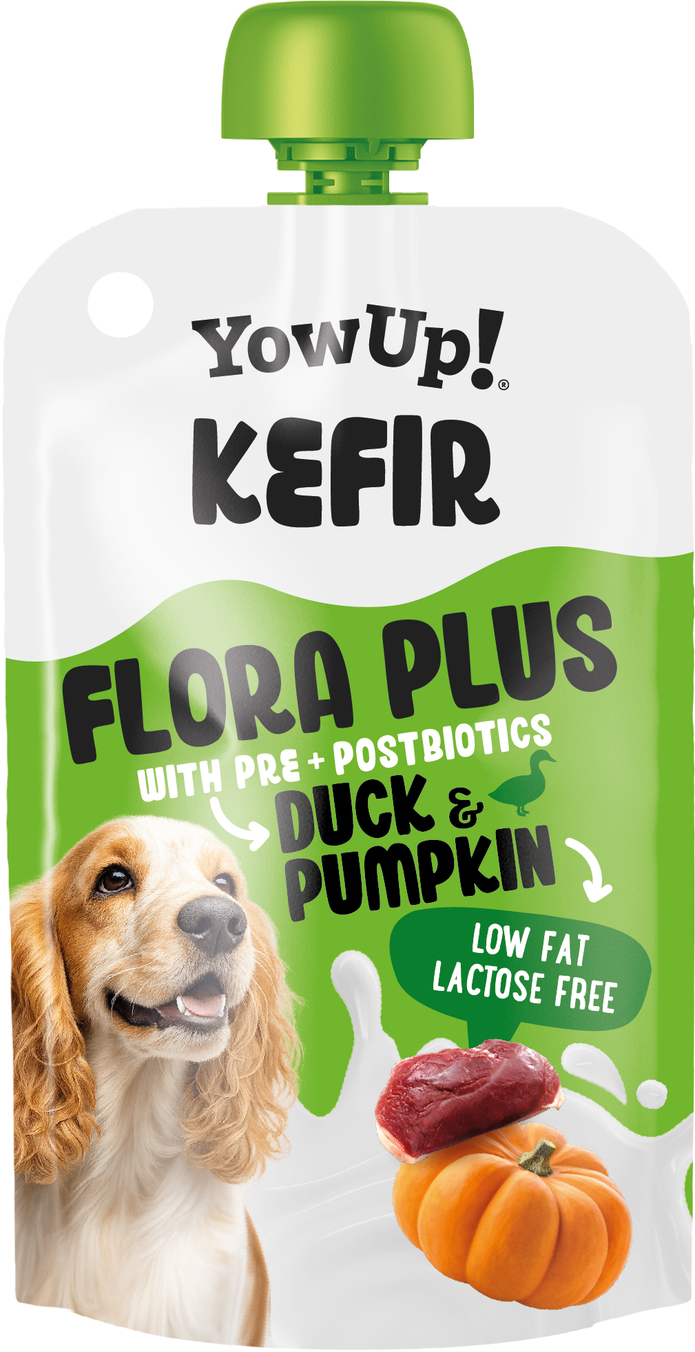 Yowup! Kefir Eend & Pompoen (hond)