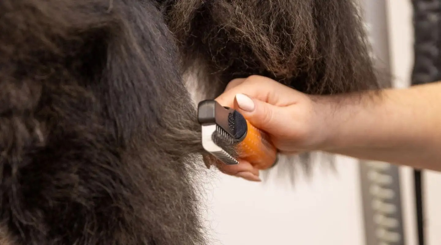 Wahl Dematter Ontklitterkam voor Honden — afbeelding 5
