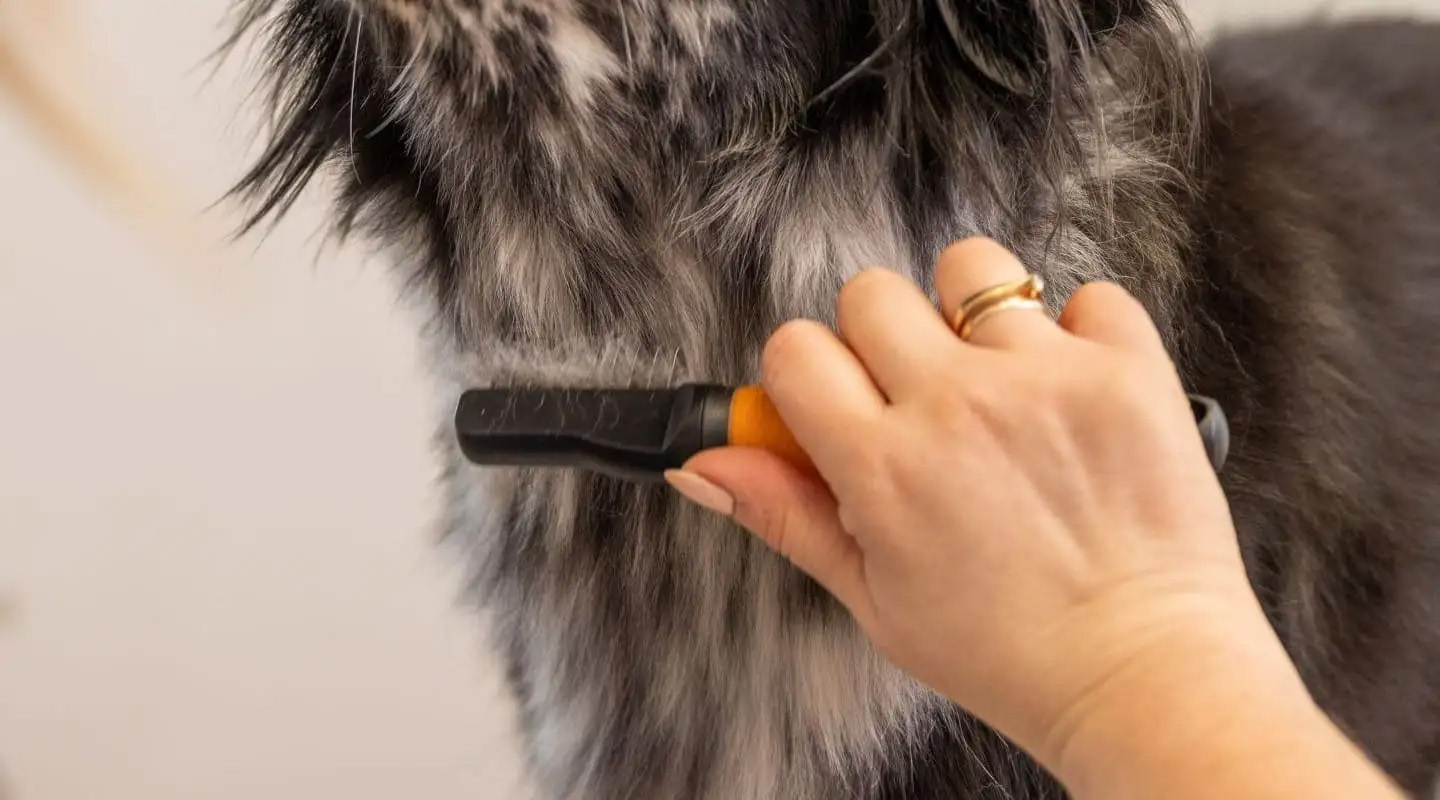 Wahl Dematter Ontklitterkam voor Honden — afbeelding 2