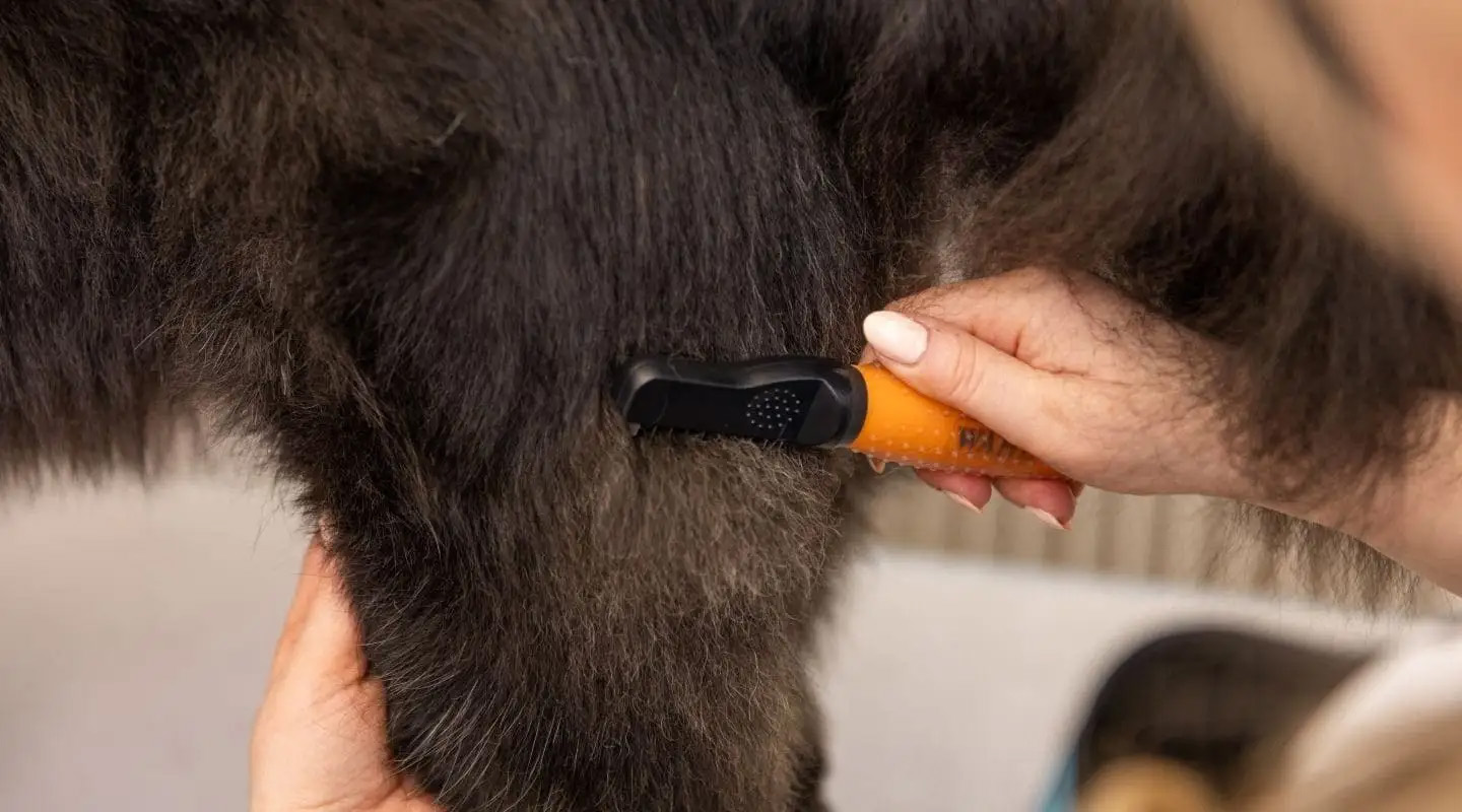 Wahl Dematter Ontklitterkam voor Honden — afbeelding 4