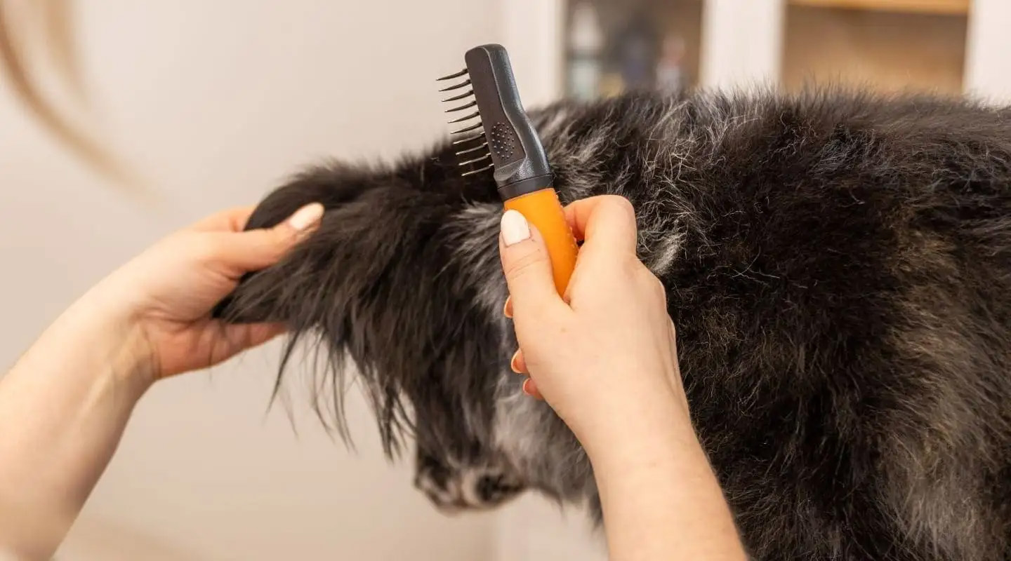 Wahl Dematter Ontklitterkam voor Honden — afbeelding 3