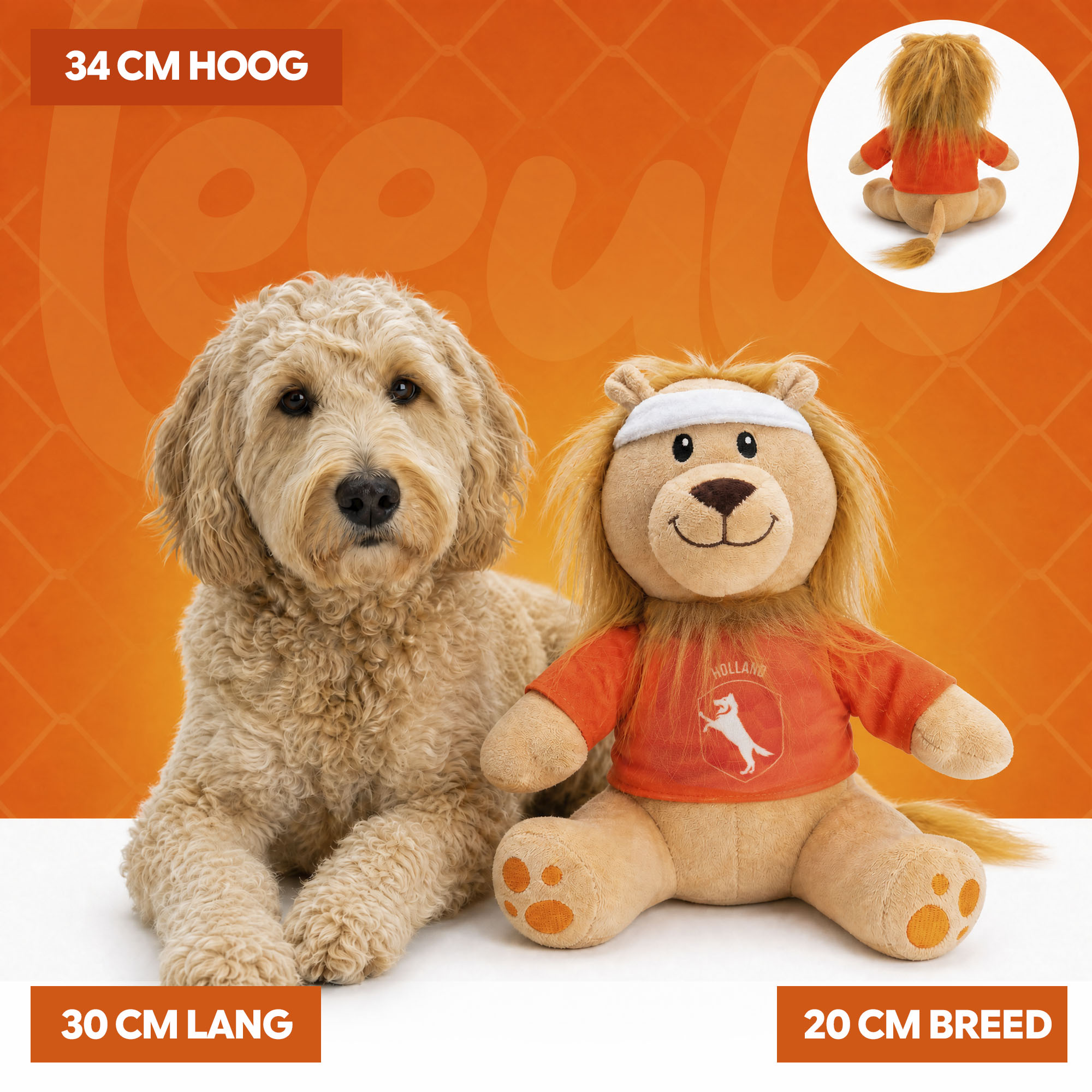Oranje Leeuw L — afbeelding 5